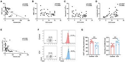 Peripheral T cell immune repertoire is associated with the outcomes of acute spontaneous intracerebral hemorrhage